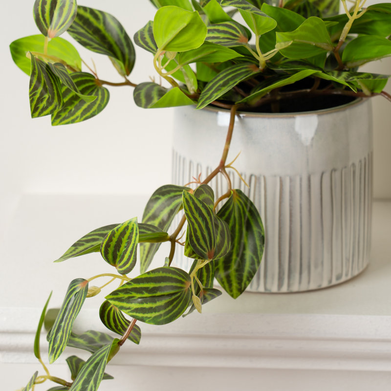 20cm Faux Tradescantia Zebrina Plant in Pot