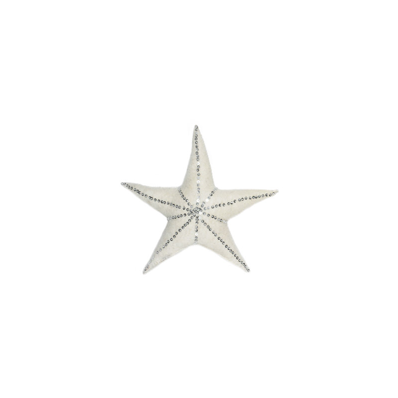 Star Christmas Tree Topper, Silver