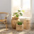Dartavious Solid Wood End Table