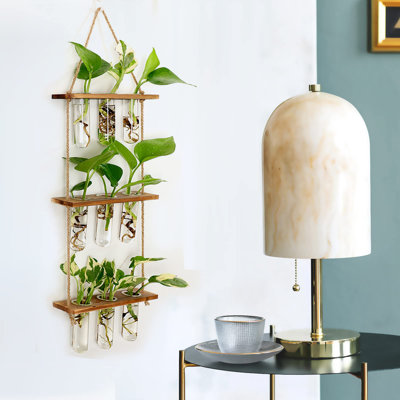  Station de propagation murale avec support en bois Tubes à essai en verre Terrarium mural à niveaux pour bureau à domicile Cintre plante Vases à fleurs Décoration murale coupes hydroponiques (9 vases à tubes)
