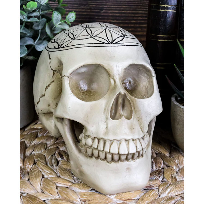 Figurine crâne Derae