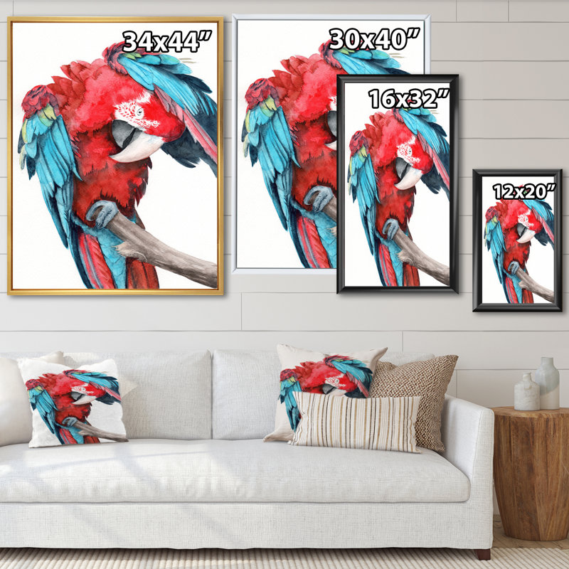 Grand perroquet avec des ailes rouges et bleues colorées - reproduction sur toile, H 32 po x l 24 po