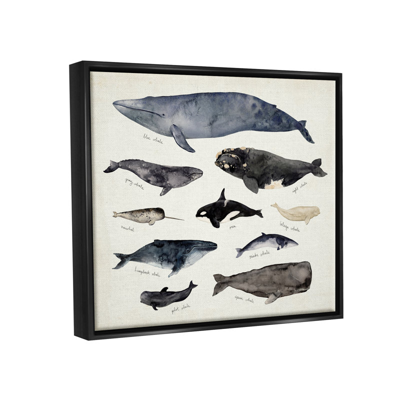 Art mural rétro sur toile, "Marine Life" par Victoria Barnes, H 17 po x l 21 po x P 1,7 po, Cadre flottant noir de jais