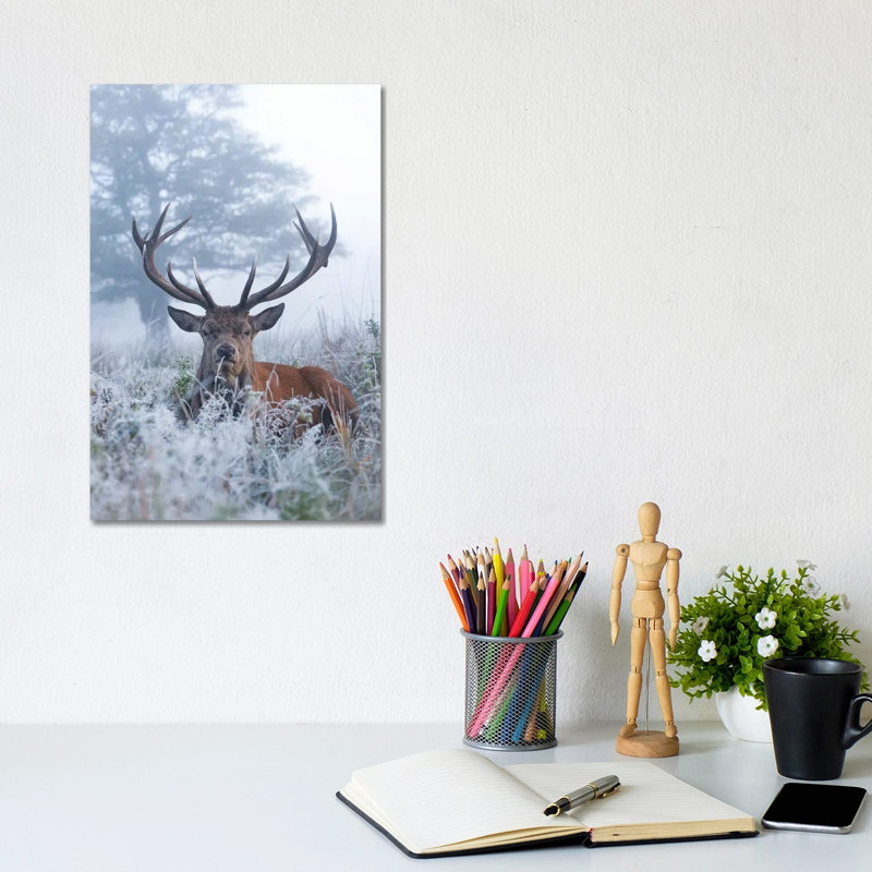 Frosty Stag by Max Ellis - Wrapped Canvas Painting, 30.48cm H  x  20.32cm W  x 1.905cm D