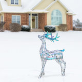 48" Pre-Lit Iridescent Reindeer