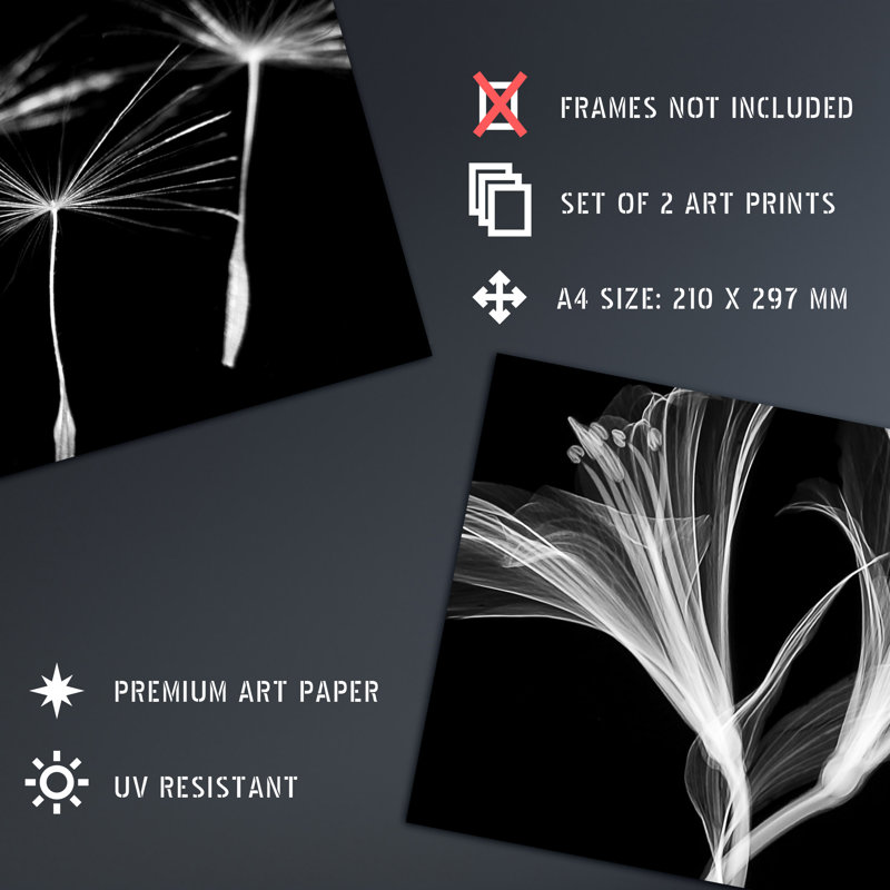 Dandelion And Lily X-Ray 2-Piece Set Unframed Wall Art Prints Bedroom Bathroom Aesthetic Black White Photo