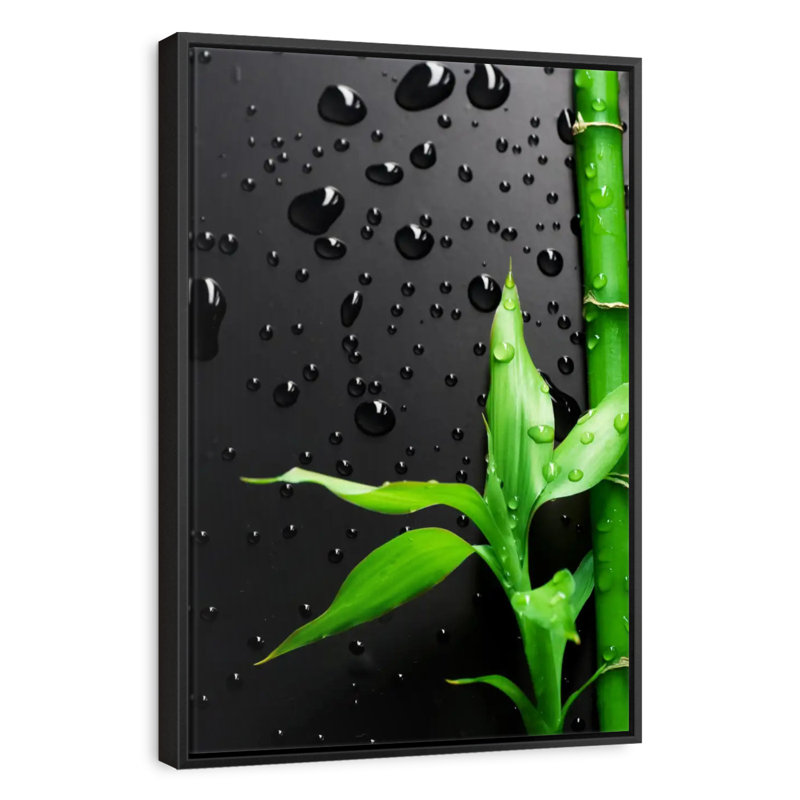 Bamboo Stick, Floating Frame Black, 17" X 25"