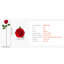 60 pièces de roses artificielles en mousse rouge de 20 po - Réutilisables pour les bouquets de mariage / centres de table / décoration de table de fête essentiels