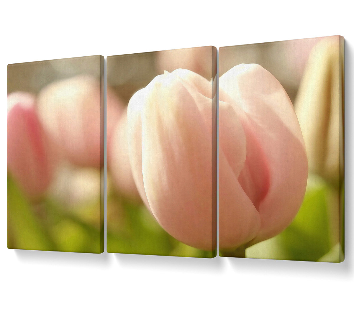 Ebern Designs Baby Pink Tulip - 3 Piece Wrapped Canvas Graphic Art ...