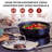 Alva Maestro 3.5 Qt. Premium Nonstick Ceramic Frying Pan with Lid - Non Toxic and Oven Safe