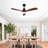 Hot Sales Modern Black Ceiling Fan With Light 3 Solid Wood Blades Remote Control Reversible Dc Motor With Dimmable Led-104199874-104199737-104199879