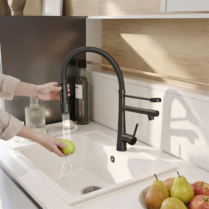 Robinet de cuisine rétractable à un trou avec remplisseur de pot Robinets d'évier de cuisine à poignée simple Robinets de lavabo en acier inoxydable avec douchette