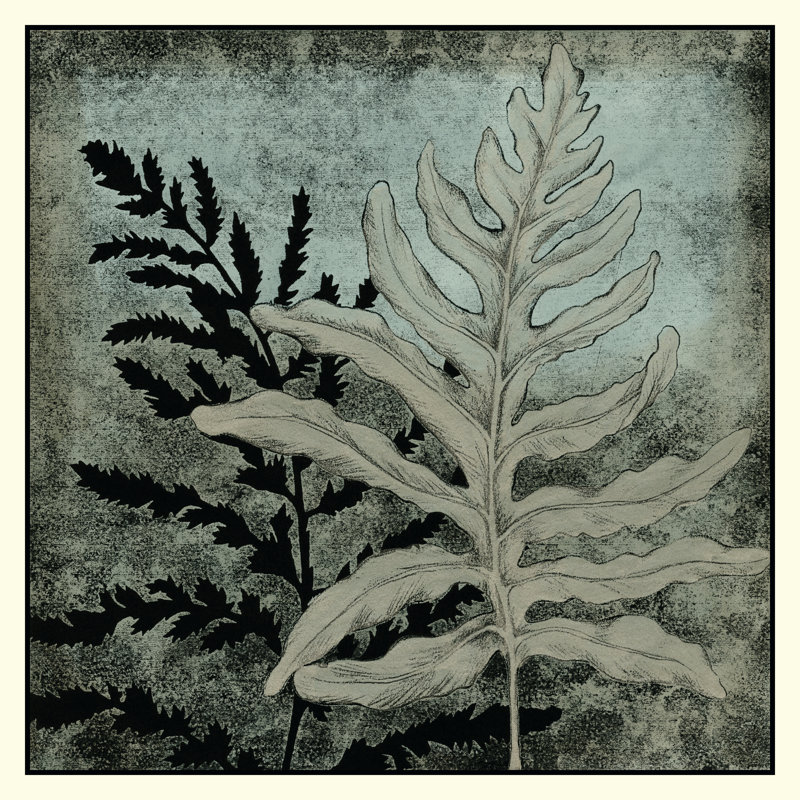 Illuminated Ferns II by Megan Meagher - Wrapped Canvas Painting, 30cm H x 30cm W x 3.8cm D