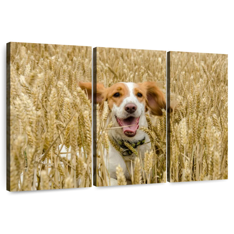 Brampt Happy Cocker Spaniel, 28" H x 45" W