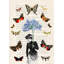 Lady Of Butterflies by Stef Lamanche - Wrapped Canvas Print-889771933