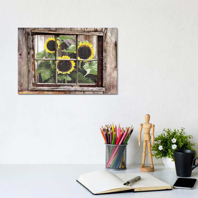 Looking In by Irvin Hoover - Wrapped Canvas Print