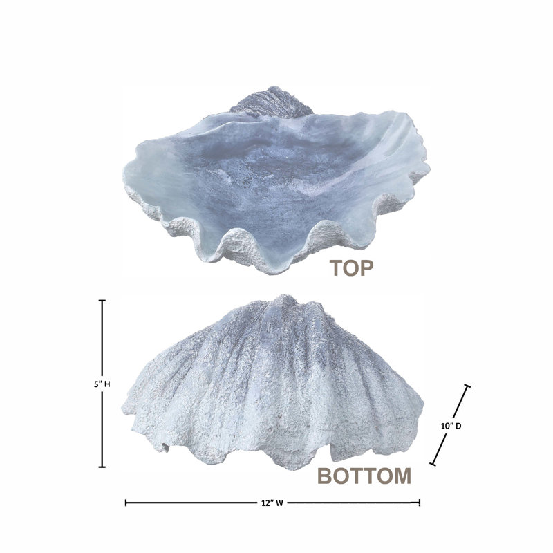 12" Resin Open Scallop Shell