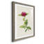«Pretty Botanicals II», cadre photo-341834848-341834851