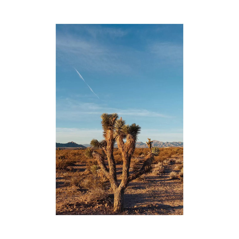 Nevada Desert Sunrise III 1 Piece Wall Art on Canvas, 30.48cm H x 20.32cm W x 1.91cm D, Wrapped Canvas