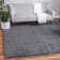 Candan Indoor Rug