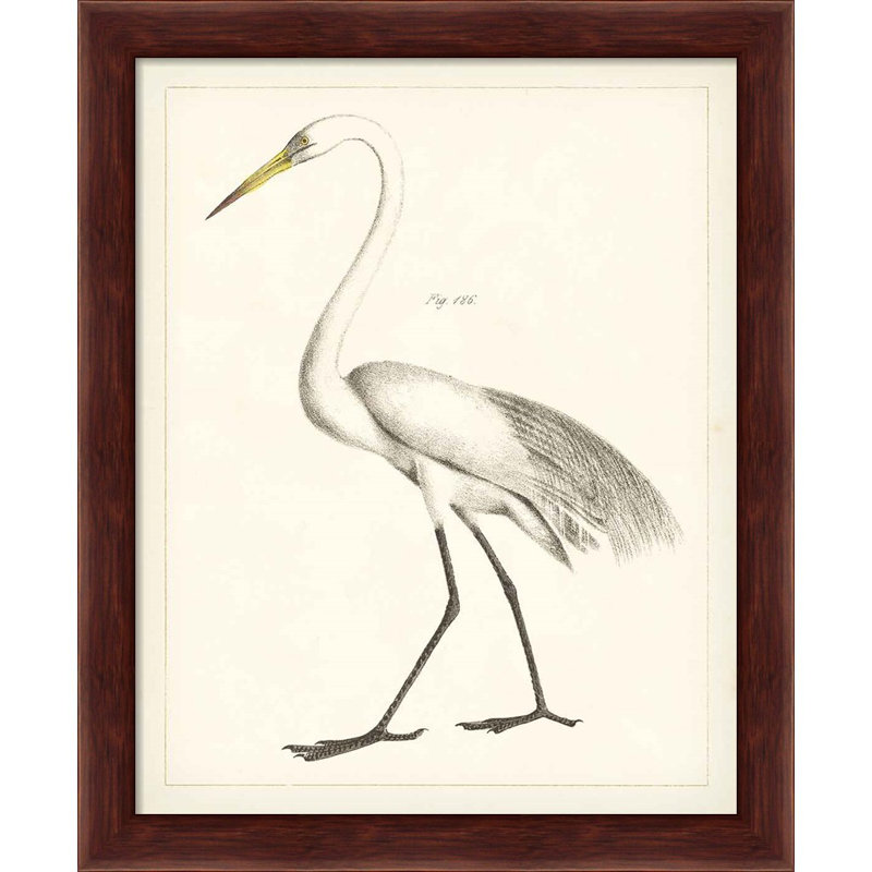" Vintage Heron I & II " by Wild Apple Portfolio 2 - Pieces