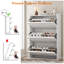 12 Pair Shoe Storage Cabinet