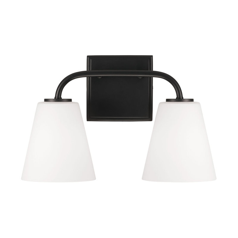 Matte Black and White Frosted Glass 2-Light Vanity Fixture