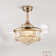 Houstyn Dimmable Crystal Ceiling Fan with LED Lights and Remote Control