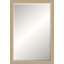 Chamblee Solid Wood Beveled Mirror-828588995-828588993