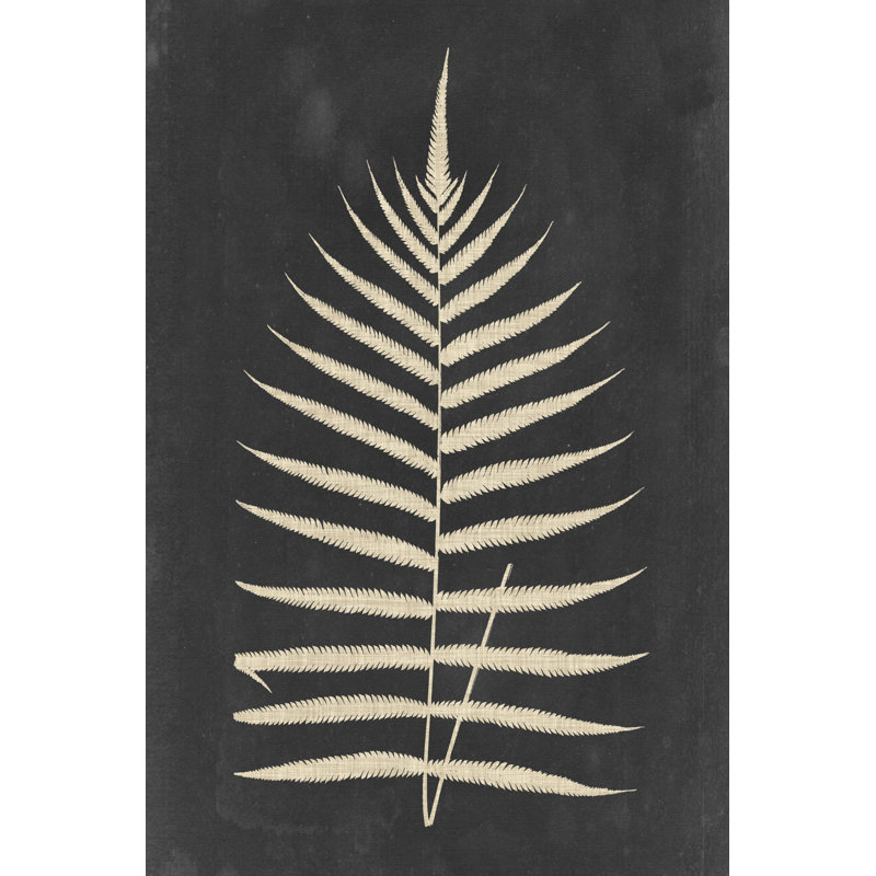 Linen Fern III by Vision Studio - Wrapped Canvas Print, 30cm H x 20cm W