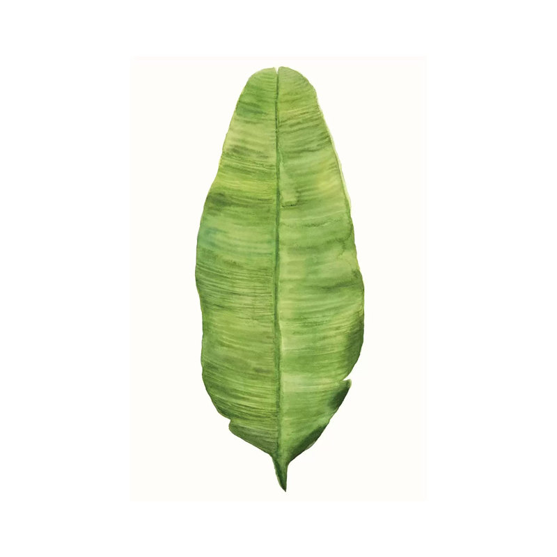 Tropical Breeze Leaves IV by Naomi McCavitt - Wrapped Canvas Print, 66.04 cm H x 45.72 cm W