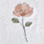 100% Cotton Hand Towel