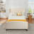Bed Frame with High Back Upholstered Headboard-639324759-664058343