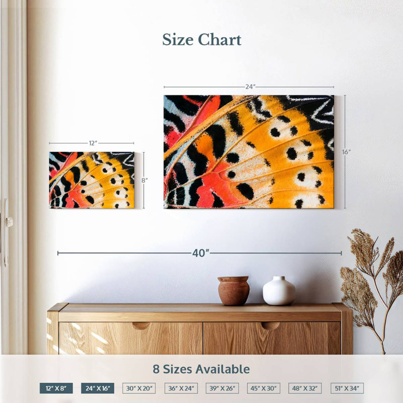 Brampt Butterfly Wing, 16" H x 24" W