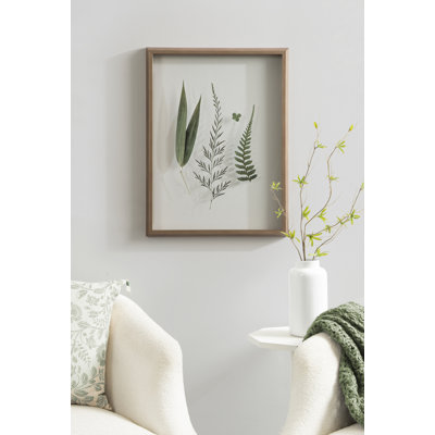 «Natural Charm Pressed Botanticals 2» par Stephanie Klatt, art mural encadré en verre