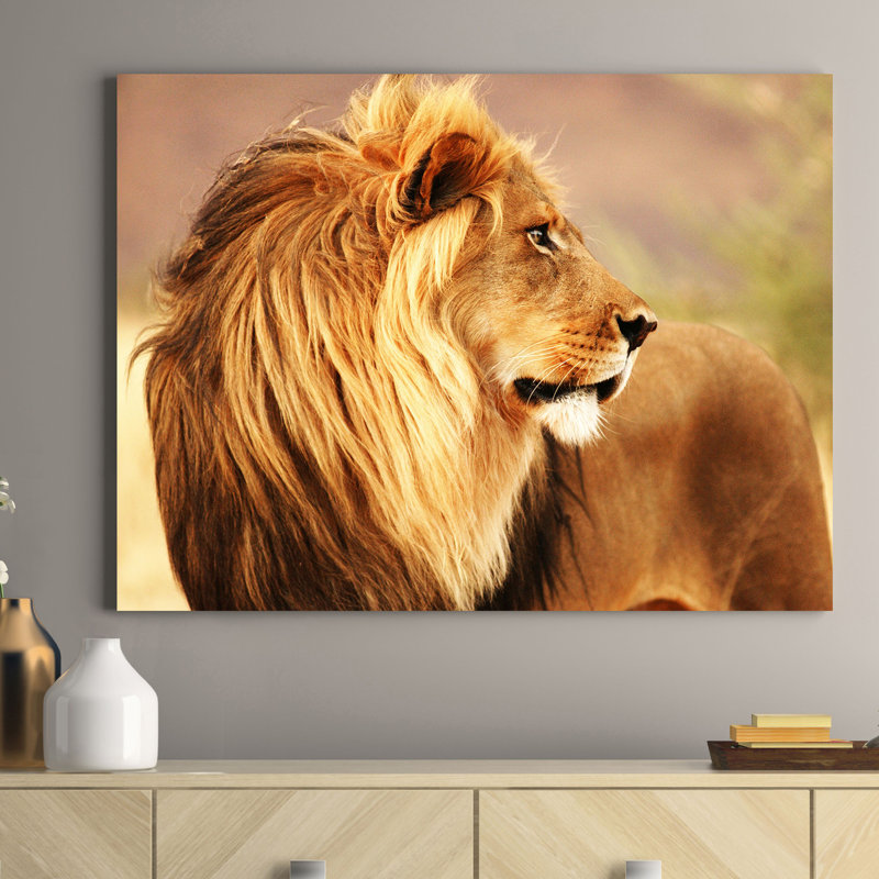 Male Lion, Namibia - Wrapped Canvas Print, 70cm H x 100cm W x 4cm D