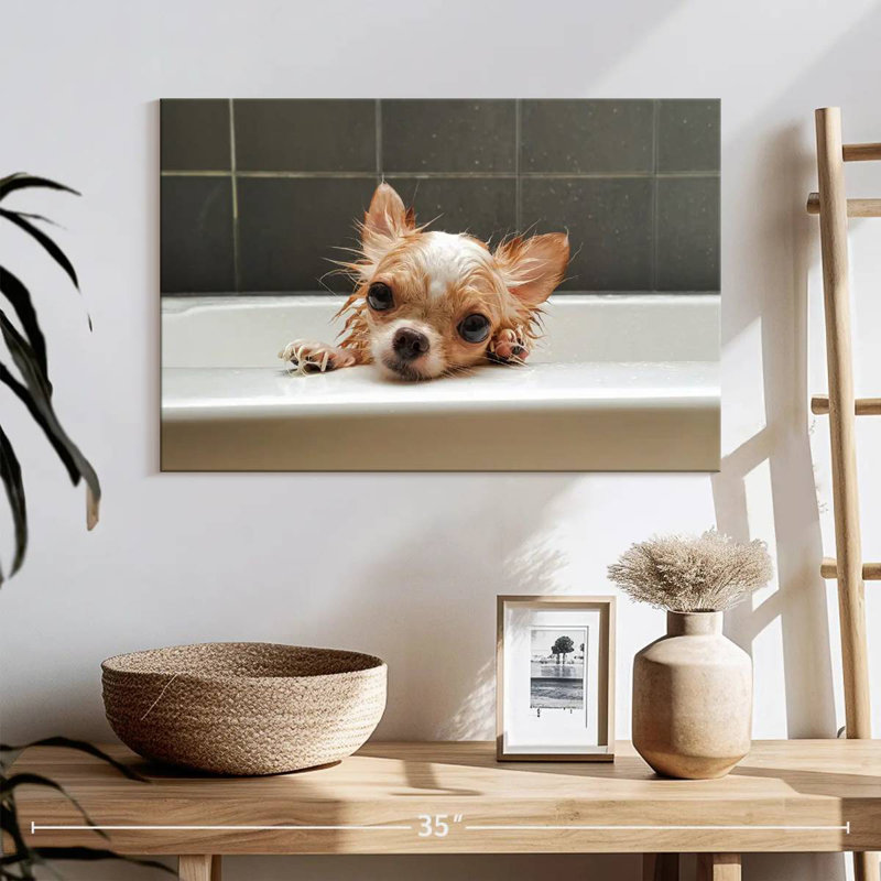 Brampt Chihuahua Bathing, 8" H x 12" W