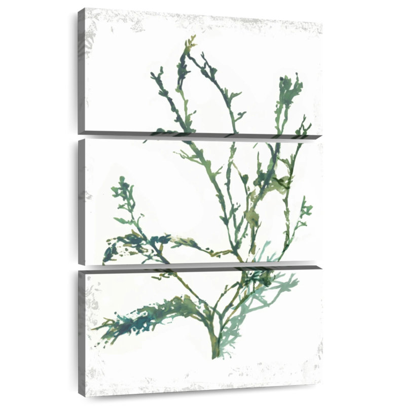 Brampt Emerald Coral II, 38" H x 24" W