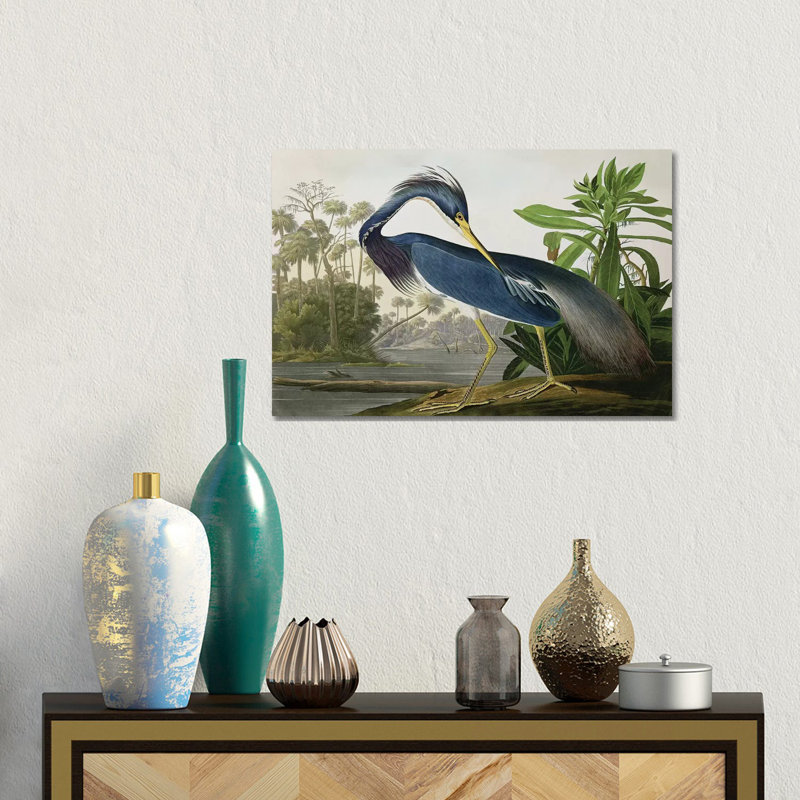 «Wick Louisiana Heron» par John James Audubon, reproduction sur toile, H 18 po x l 26 po, Toile tendue, Sans cadre