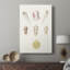 Pastel Knorr Shells I - galerie Cavas tendue sur mesure-1247089508
