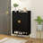 Narrow Shoe Cabinet for Entryway Shoe Storage Cabinet with Storage