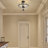 Vauxhall Glass Semi Flush Mount