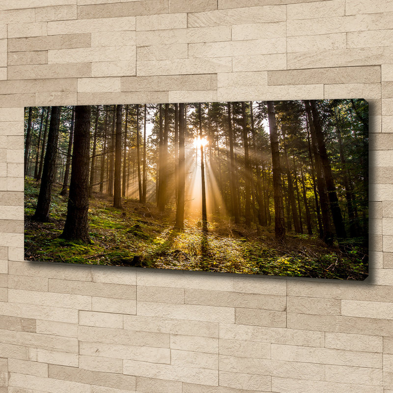 Sunlight - Wrapped Canvas Print, 50cm H x 125cm W, Canvas