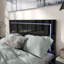 Lit Duckworth-101120510-101120508