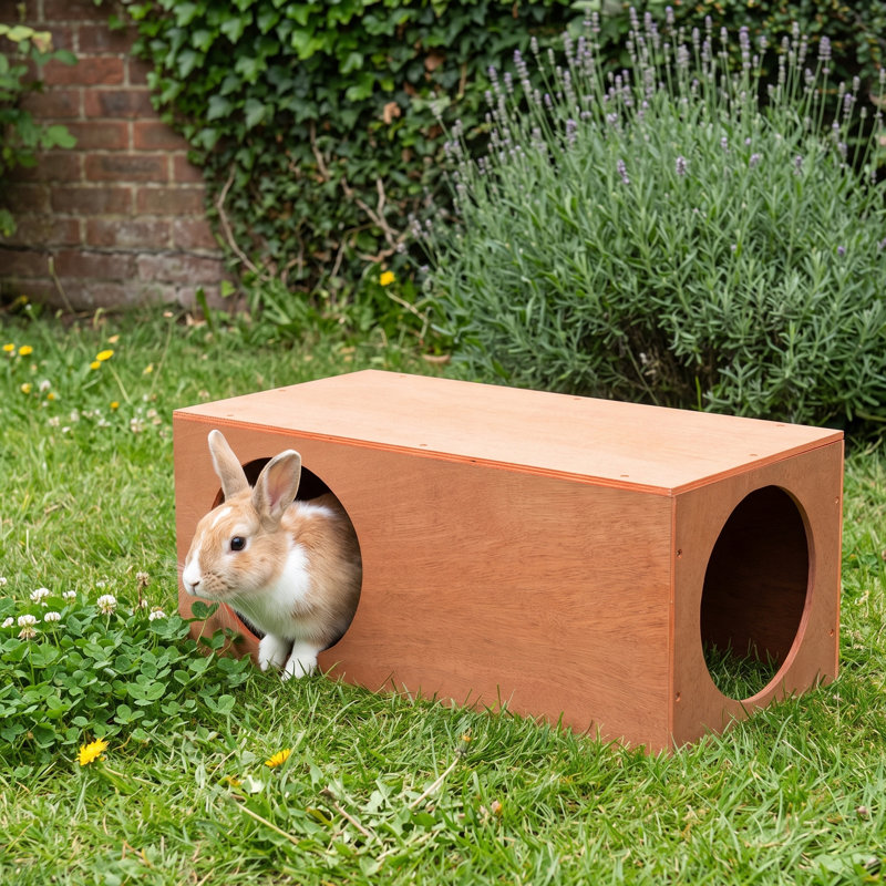 Small Animal Cage