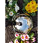Darrol Stainless Steel Gazing Ball-1699746640