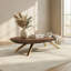 Coffee Table with Storage