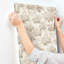 Papier peint Oakcliff Stone Leaf Trail-1855582386