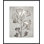 Lucent Botanicals 5 Print by Darrell Kincer