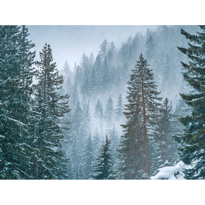 «Snowy Pines on Mountain Slope», art mural sur toile tendue, H 24 po x l 36 po